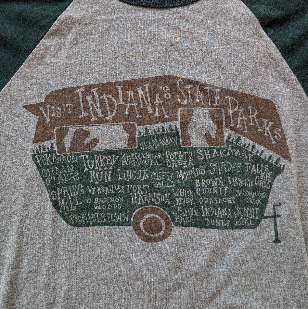 Bella Canvas Gray and Green Graphic Top